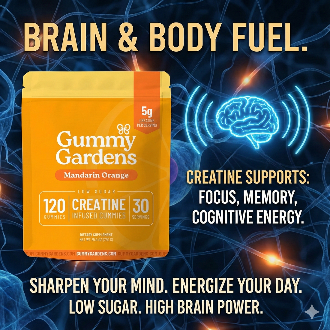 Beyond the Biceps: How Creatine is Leveling Up Your Brainpower