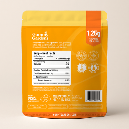Creatine Gummies for Muscle Recovery & Focus